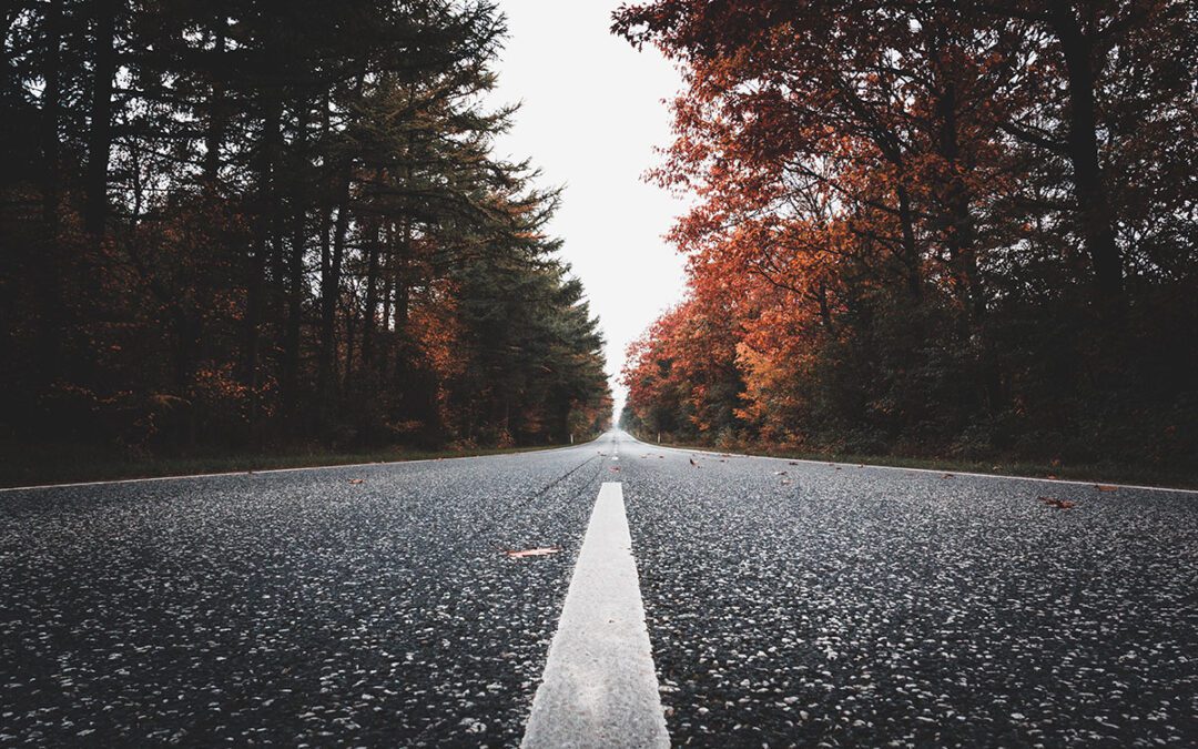 Multiple Pathways To Freedom