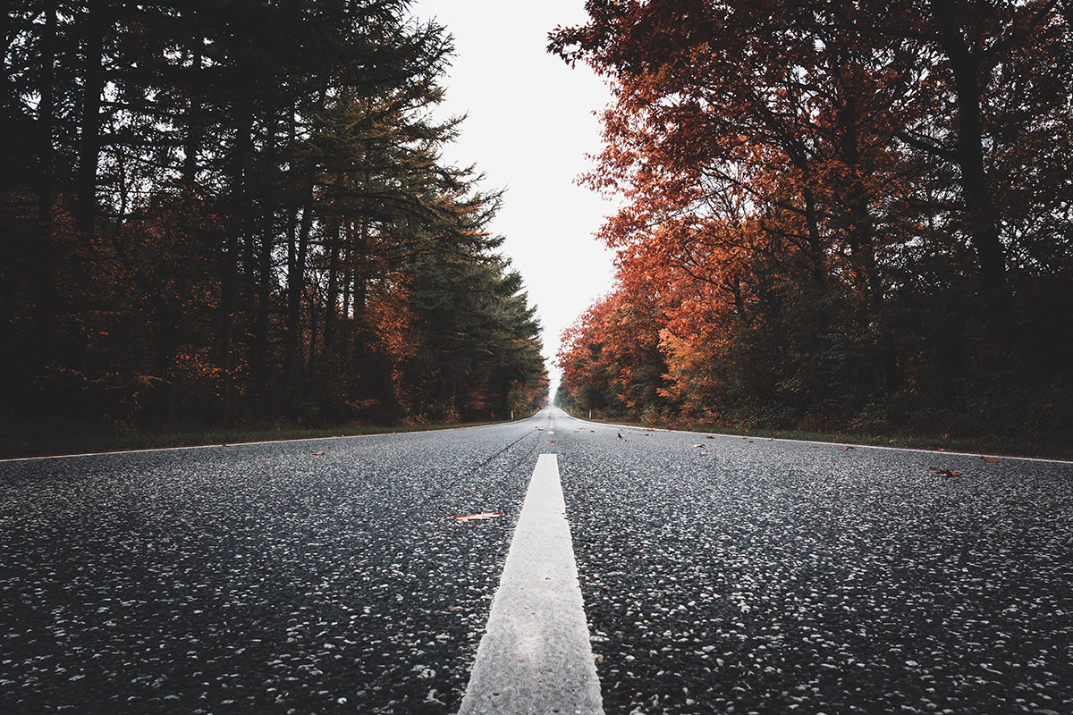 Multiple Pathways To Freedom Thrive Li Ny Multiple Pathways To Freedom Thrive Li Ny