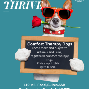 Comfort Therapy Dogs