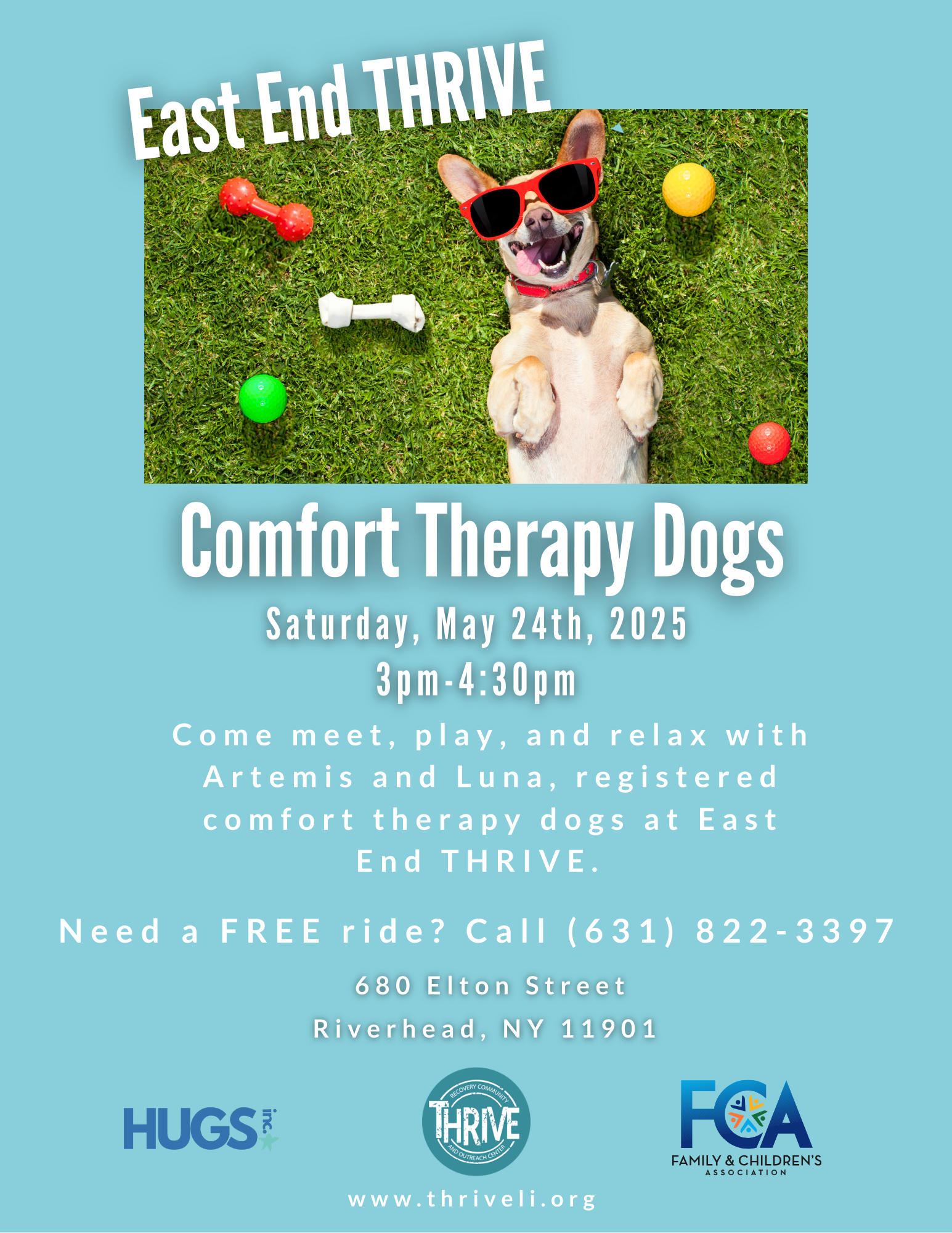 Comfort Therapy Dogs