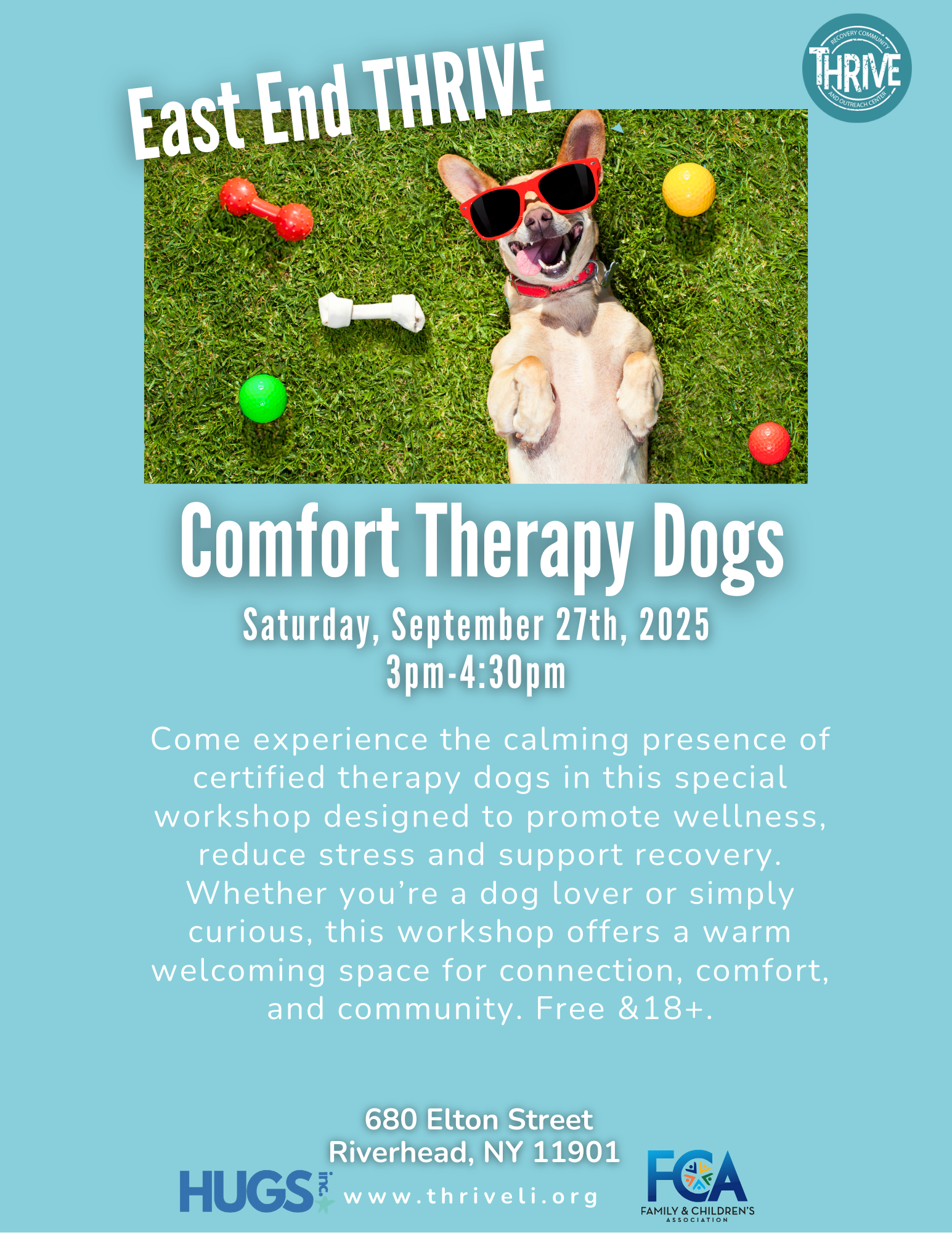 Comfort Therapy Dogs