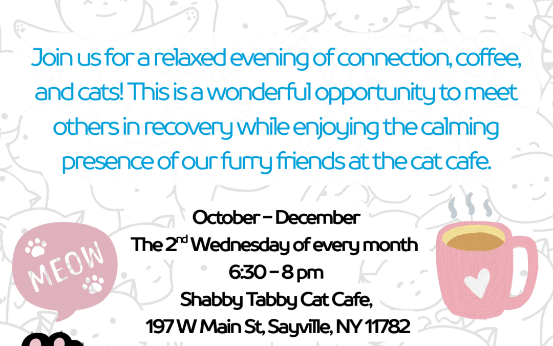 Sober Social at the Shabby Tabby Cat Cafe