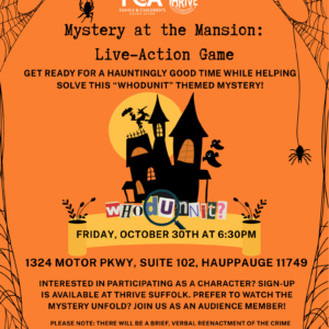 Mystery At The Mansion 103026